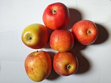 Bild zeigt Äpfel
