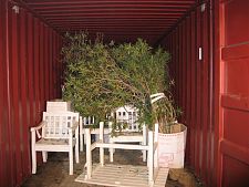 Blick in einen Container mit Pflanzenumzugsgut.