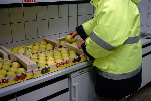 Bild zeigt die Beschau von Äpfeln