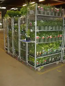 Bild zeigt Stapelwagen mit Pflanzen