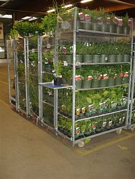 Bild zeigt Stapelwagen mit Pflanzen