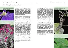 Bild zeigt einen Blick in den Pflanzenschutz-Ratgeber Haus- und Kleingarten - © Dr. Thomas Brand