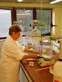 Bild von der Trichinenuntersuchung im Labor