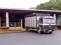 Bild eines Schlachttiertransporters, der Tiere am Schlachthof angeliefert hat.