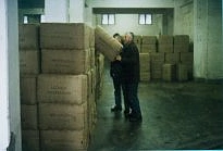 Kontrolle von getrockneten Tabakblättern