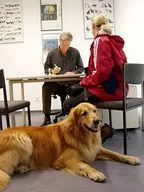 Bild zeigt einen Tierarzt bei der Erstellung einer amtstierärztliche Bescheinigung 