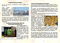 Bild zeigt Text und Bilder zum Thema Kartoffeln