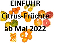 Bild zeigt verschiedene Früchte