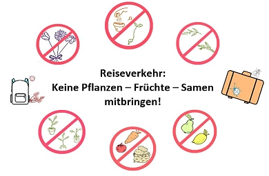 Bild zeigt Symbole von Früchten, Samen, Pflanzen, die durchgestrichen sind.