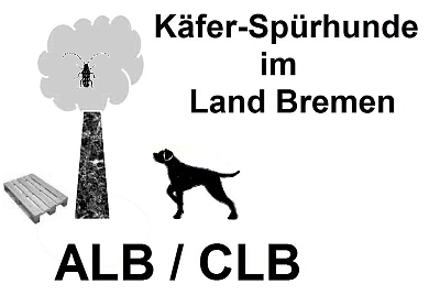Bild zeigt einen Hund und einen Baum mit Käfer