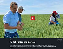 Bild zeigt Personen auf einem Feld